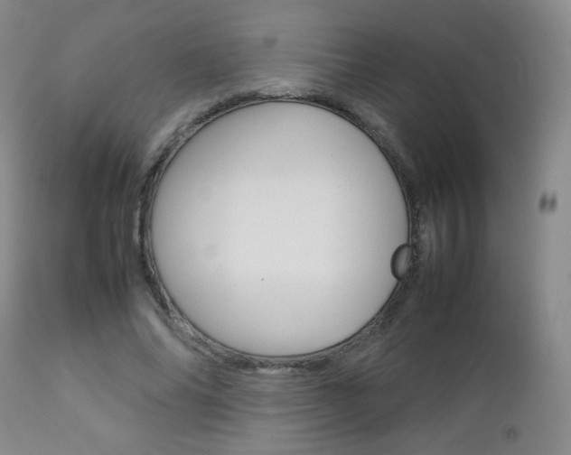 X0000112770686200908201350