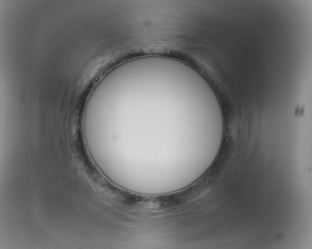 X0000112770687200908201350