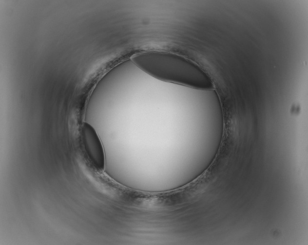 X0000112770688200908201350