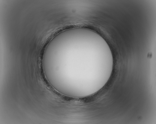 X0000112770689200908201350