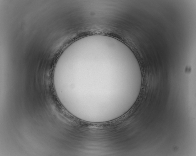 X0000112770690200908201350