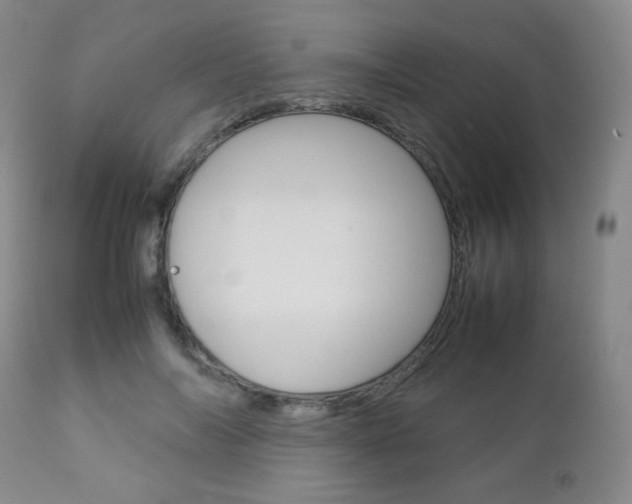 X0000112770694200908201350