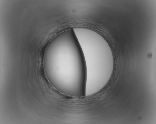 X0000112770697200908201350