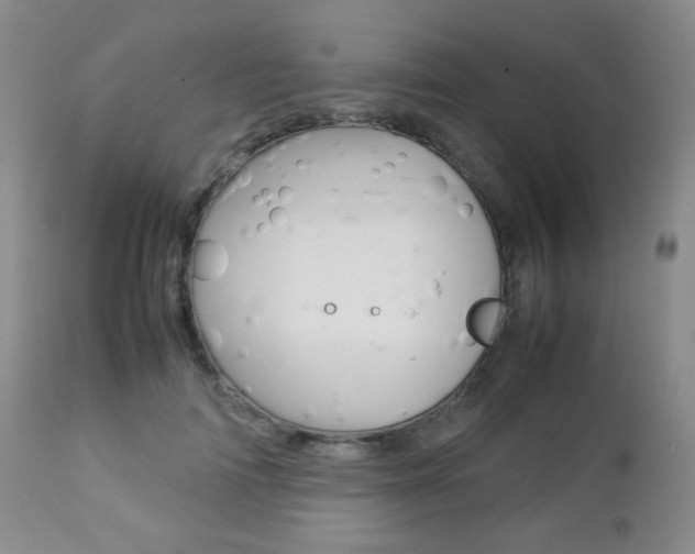 X0000112770698200908201350