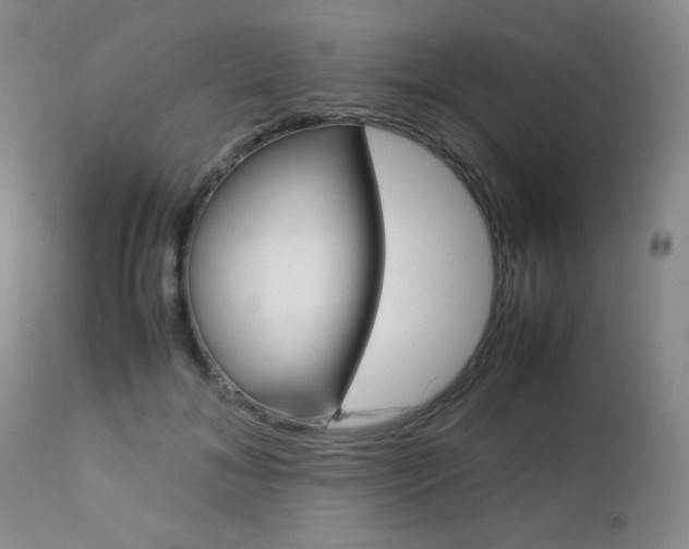 X0000112770700200908201350