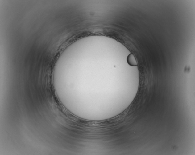 X0000112770702200908201350
