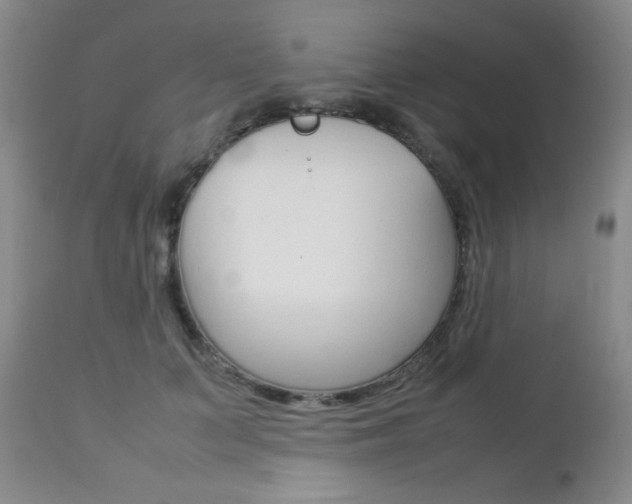 X0000112770703200908201350