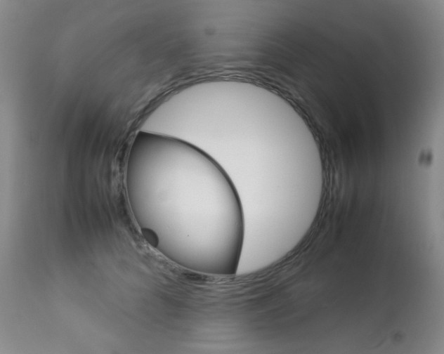 X0000112770704200908201350