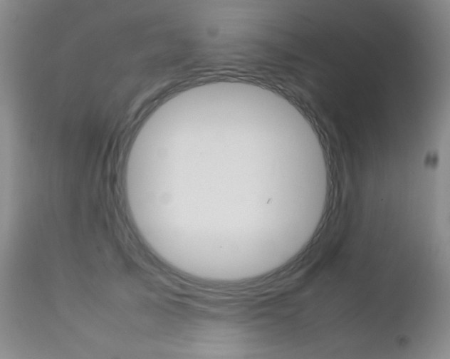 X0000112770705200908201350