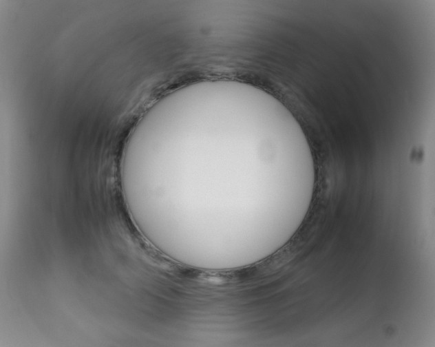 X0000112770706200908201350
