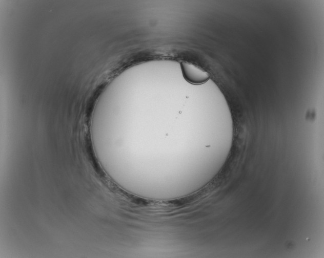 X0000112770707200908201350