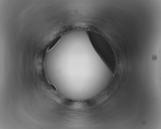 X0000112770708200908201350