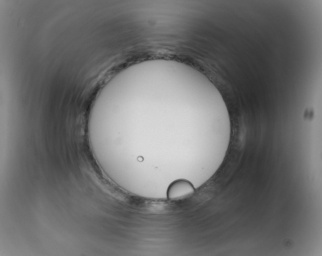 X0000112770710200908201350