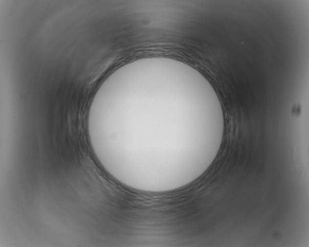 X0000112770712200908201350