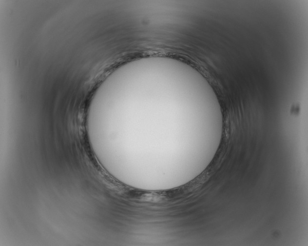 X0000112770714200908201350