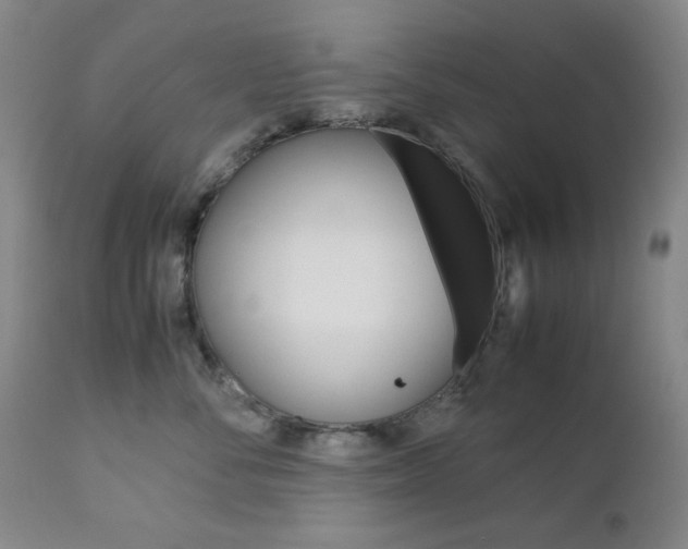X0000112770716200908201350