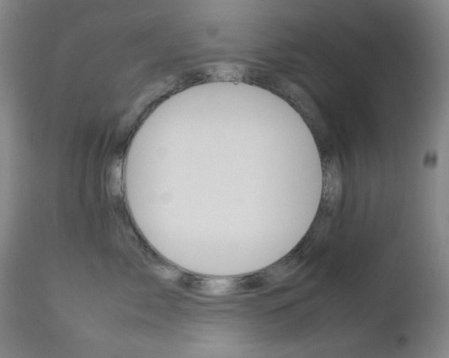 X0000112770717200908201350