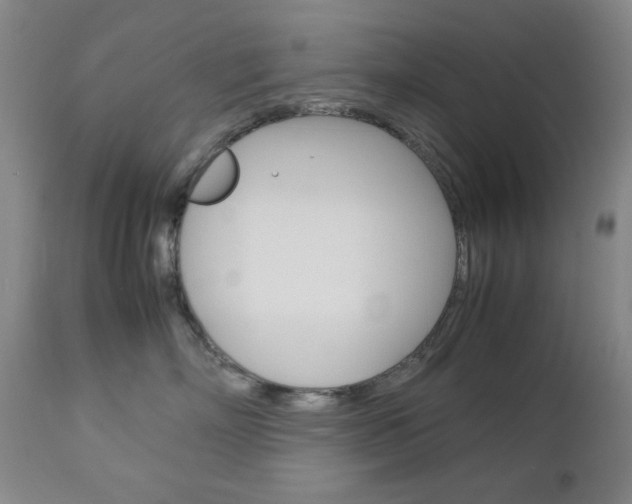 X0000112770718200908201350