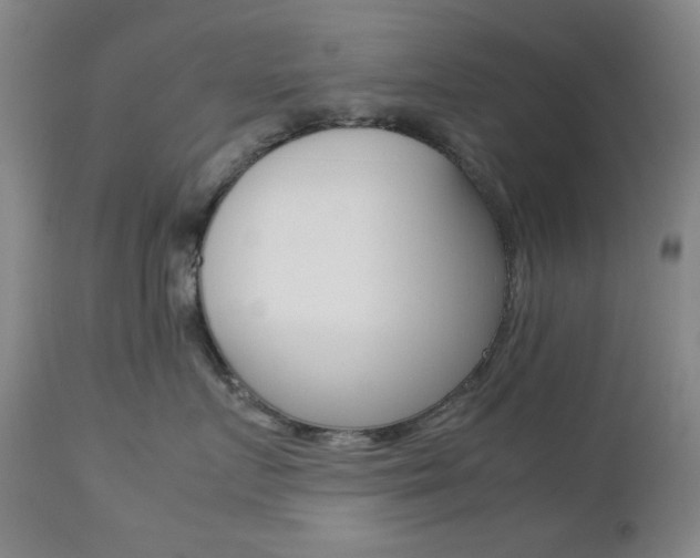 X0000112770719200908201350