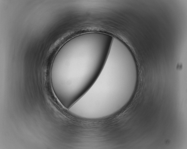 X0000112770722200908201349