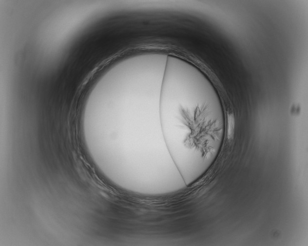 X0000112770723200908201349