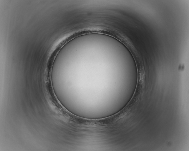 X0000112770724200908201349