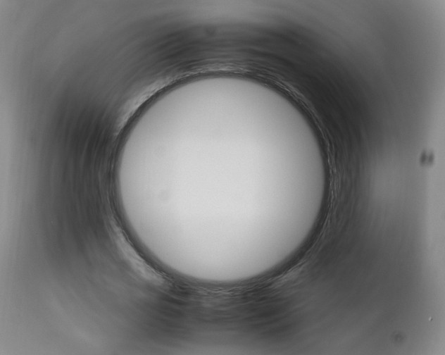 X0000112770725200908201349