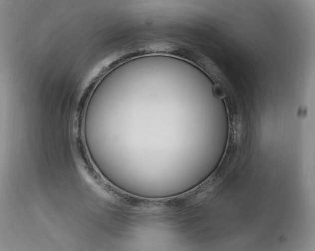 X0000112770726200908201349