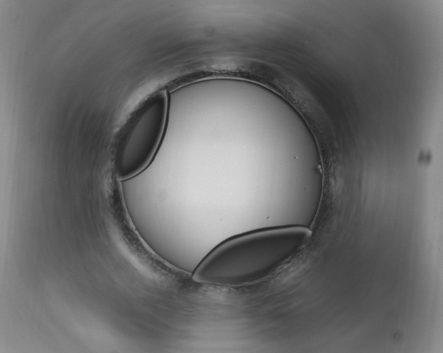 X0000112770728200908201349