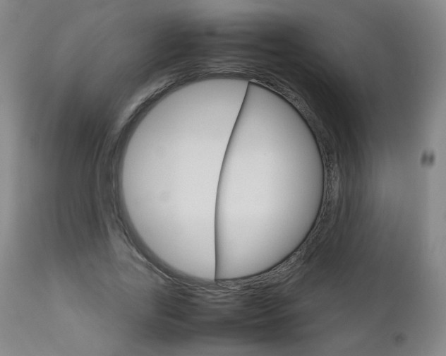 X0000112770731200908201349
