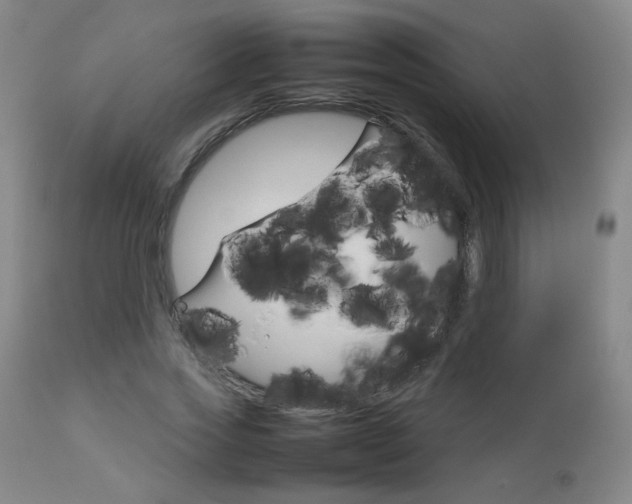 X0000112770733200908201349