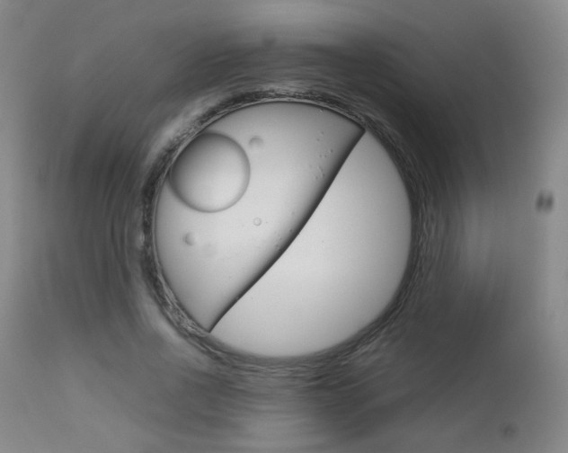 X0000112770734200908201349