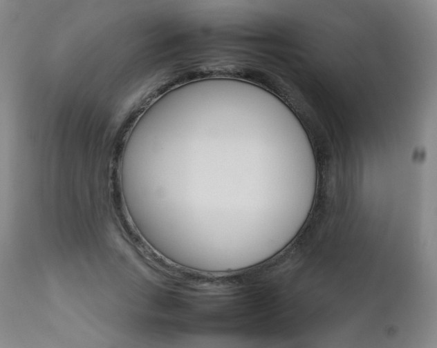 X0000112770735200908201349