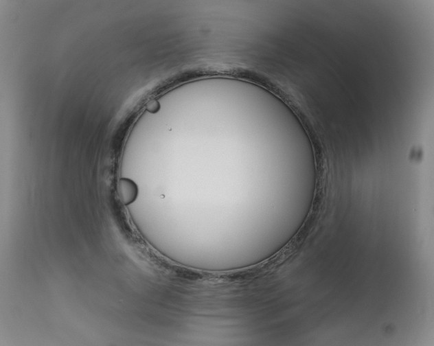 X0000112770736200908201349