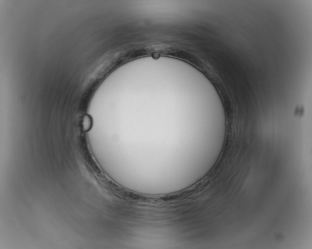 X0000112770738200908201349