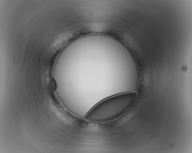 X0000112770740200908201349