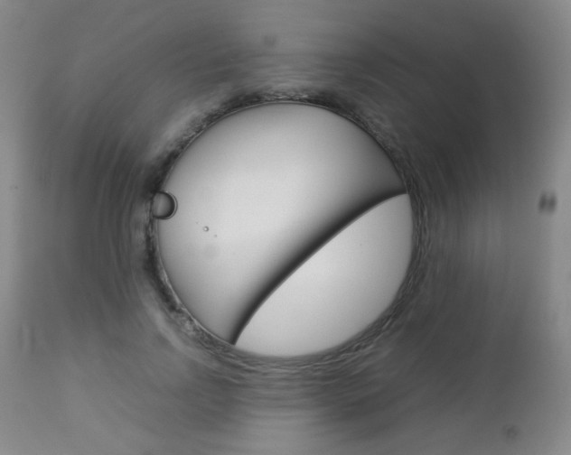 X0000112770742200908201349