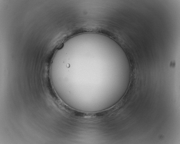X0000112770744200908201349