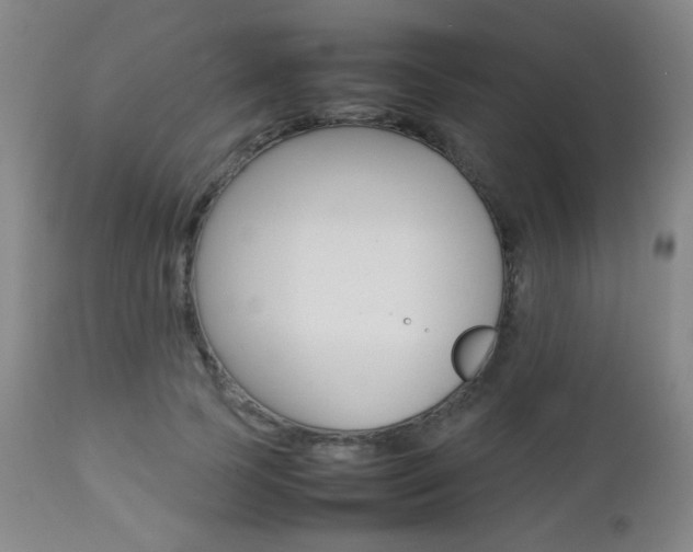 X0000112770745200908201349