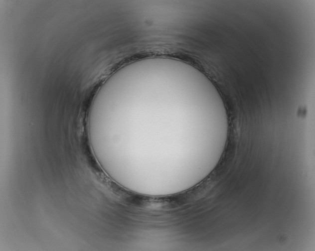 X0000112770746200908201349