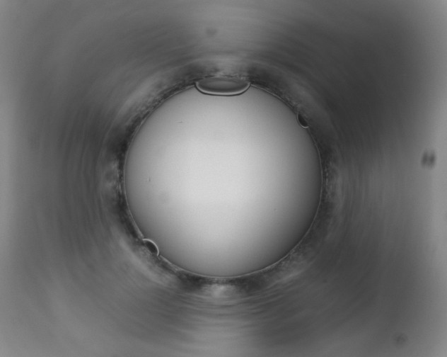 X0000112770748200908201349