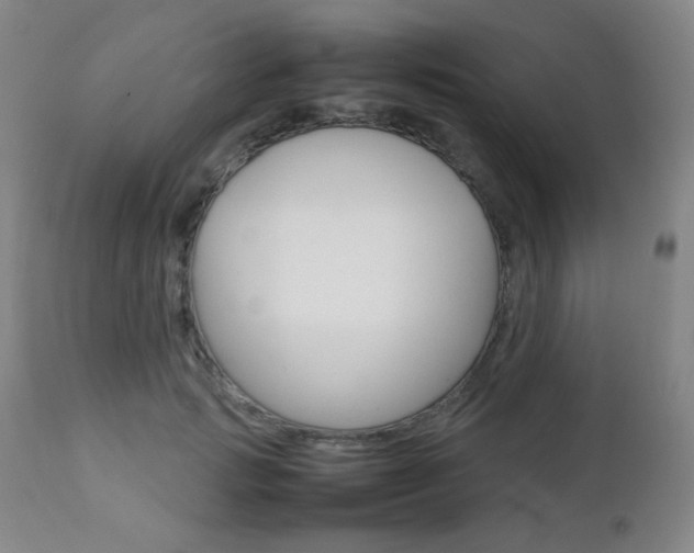 X0000112770749200908201349