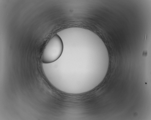 X0000112770750200908201349