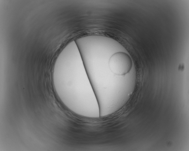 X0000112770751200908201349