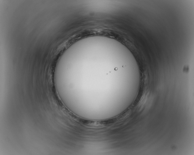 X0000112770754200908201350