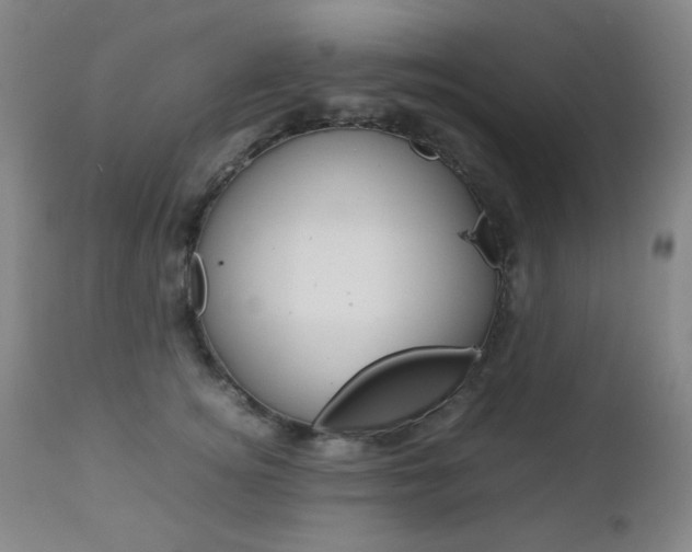 X0000112770756200908201350