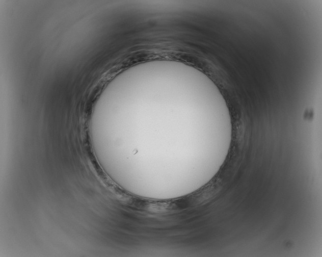 X0000112770757200908201350