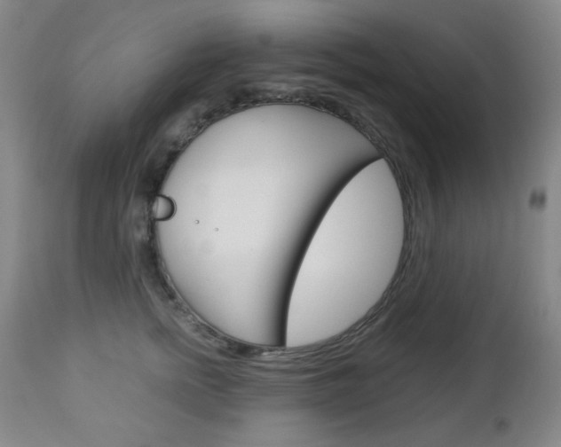 X0000112770758200908201350