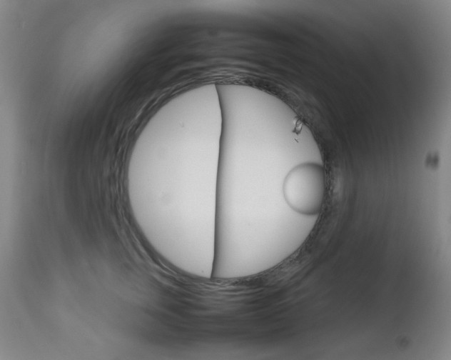 X0000112770759200908201350