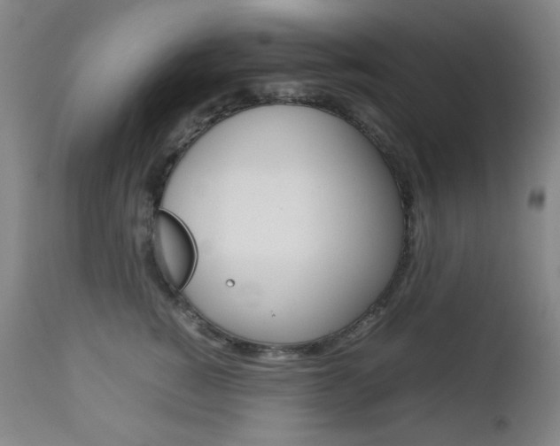 X0000112770760200908201350